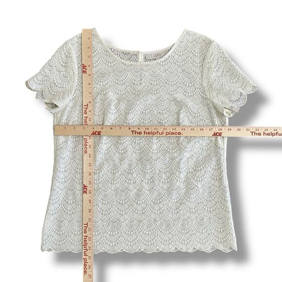 LOFT White Lace Blouse Medium Scallop Hem Short Sleeve Crochet Top Ivory - Picture 3 of 9